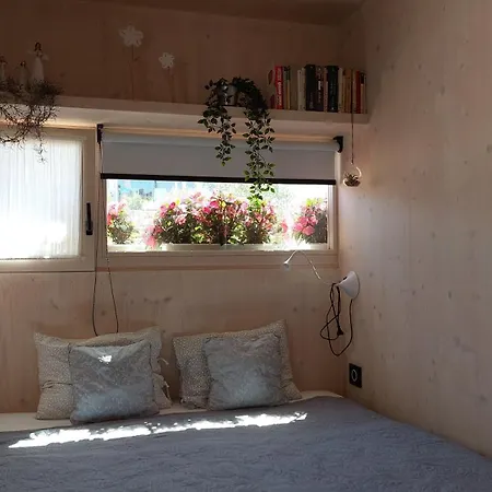 On The Ferienhaus Pakoštane