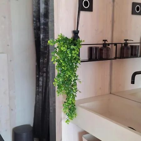 On The Ferienhaus Pakoštane